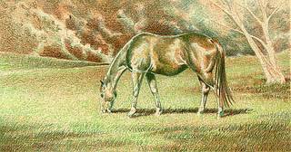 I began adding color to the horse by workinglight to dark using Burnt Ochre - photo 4