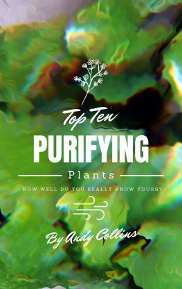Andy Collins - Top 10 Purifying Plants