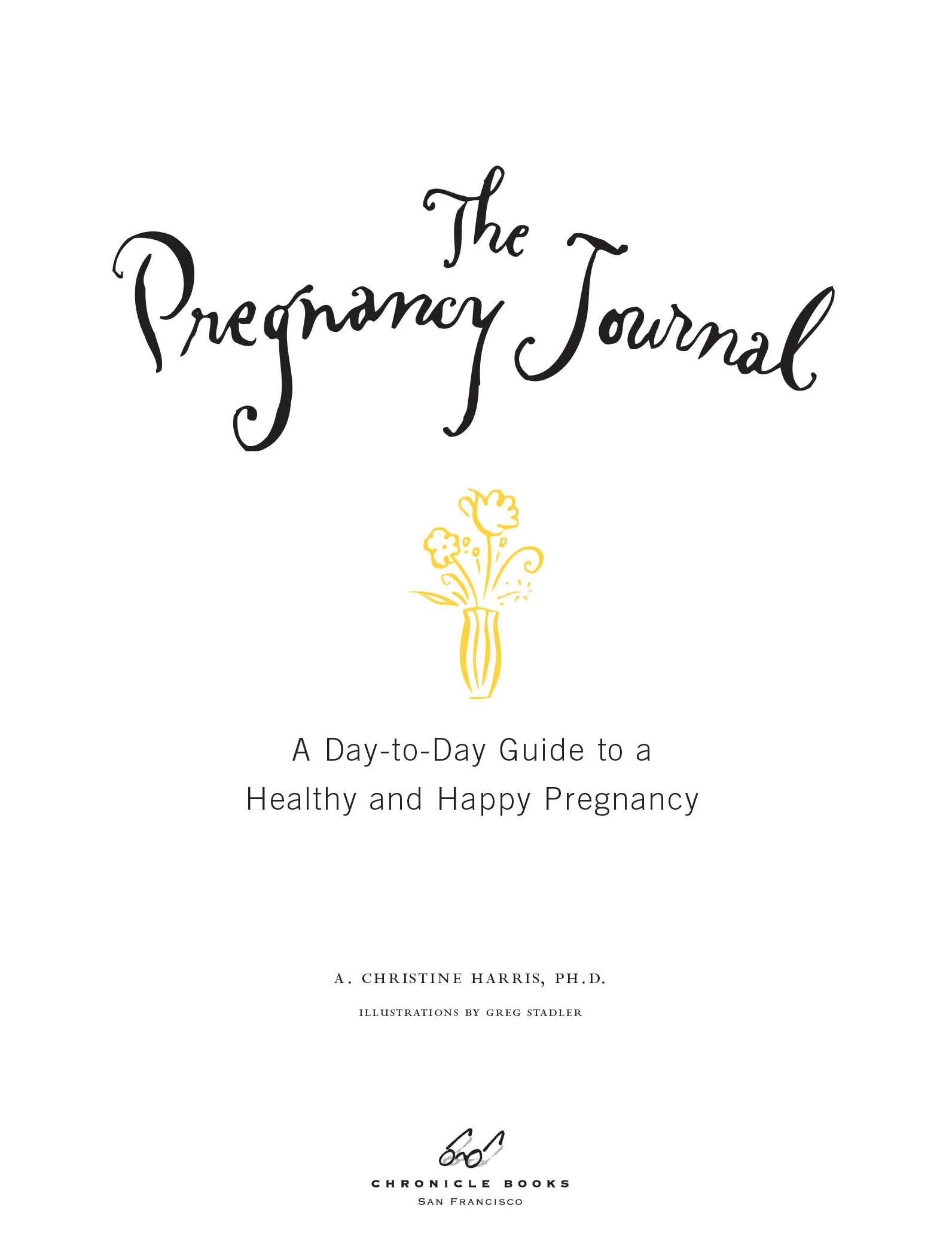 The Pregnancy Journal A Day-to-Day Guide to a Healthy and Happy Pregnancy - image 3