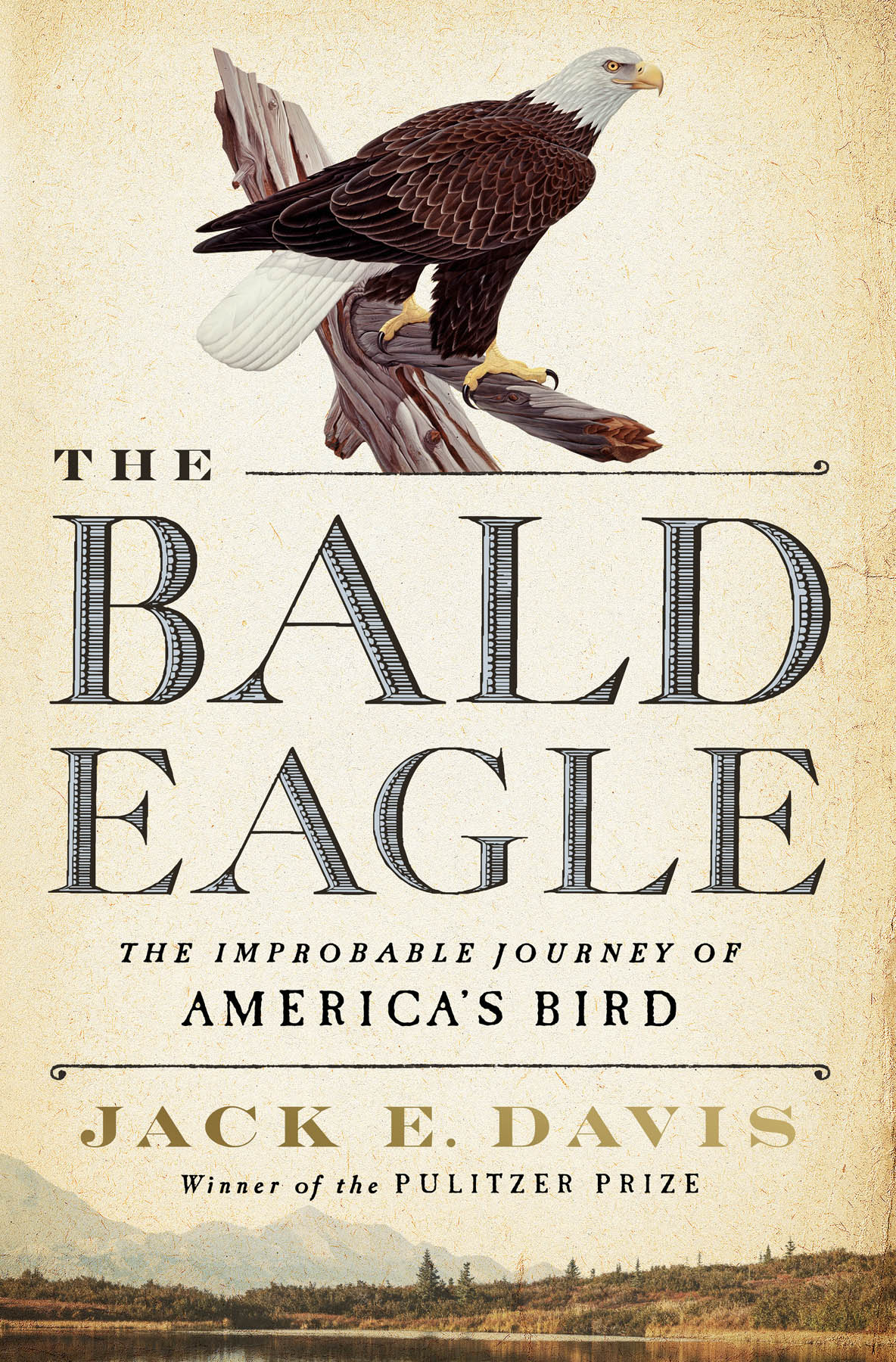 The Bald Eagle The Improbable Journey of Americas Bird - image 1