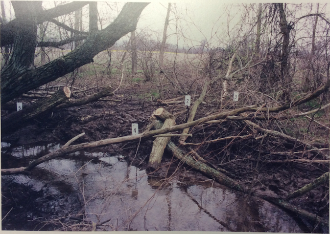 The stream where Stephanies remains were found 1998 Bones protruded from the - photo 4