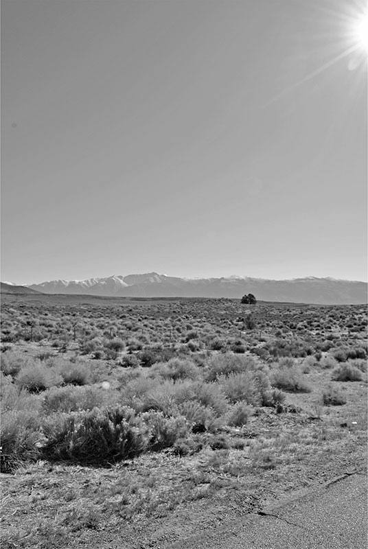 A trip down Highway 395 takes you from desert scrub to lush Sierra Alpine - photo 4