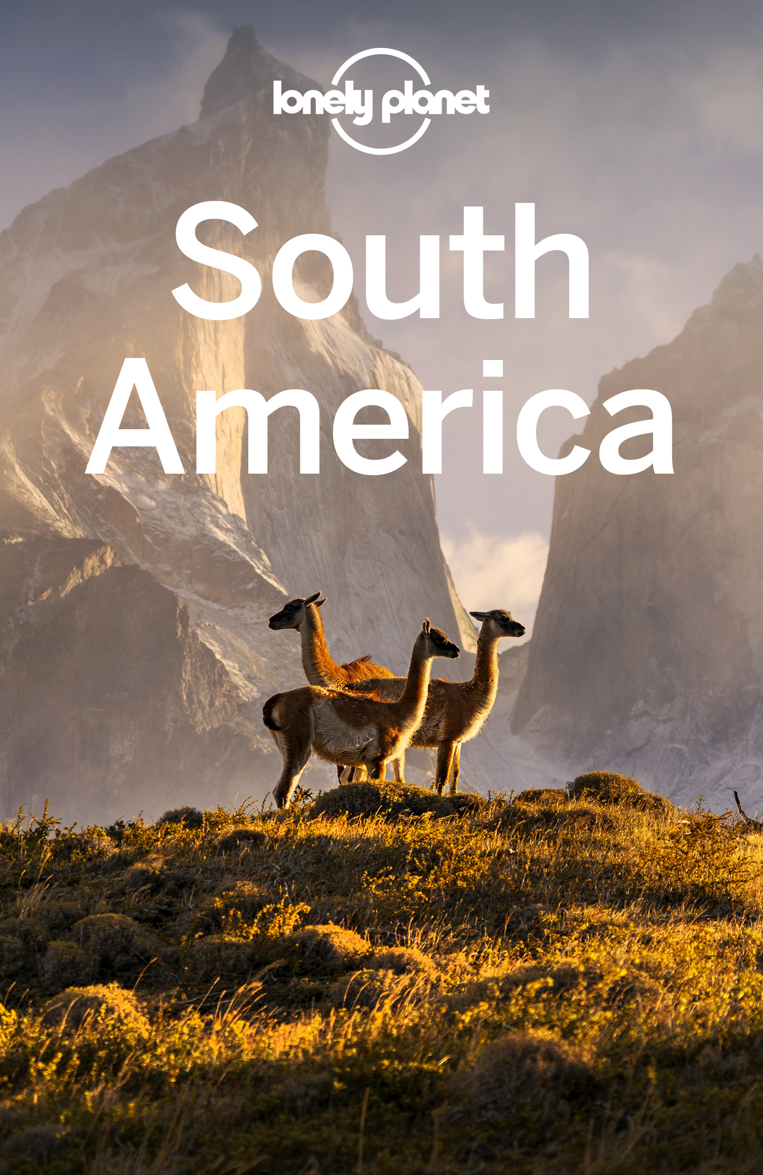 Lonely Planet South America 15 Travel Guide - image 1