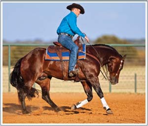 If youve ever felt frustrated or struggled with your horsemanship then youre - photo 6