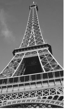 EIFFEL TOWER TOUR La Tour Eiffel Its crowded expensive and there are - photo 5