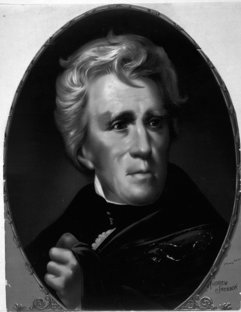 President Andrew Jackson 1 A Tough Nut to Crack Andrew Jackson IT WAS A - photo 5