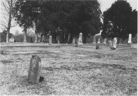 Figure 11 A relocated cemetery in Ezel Kentucky supposedly holds among its - photo 2