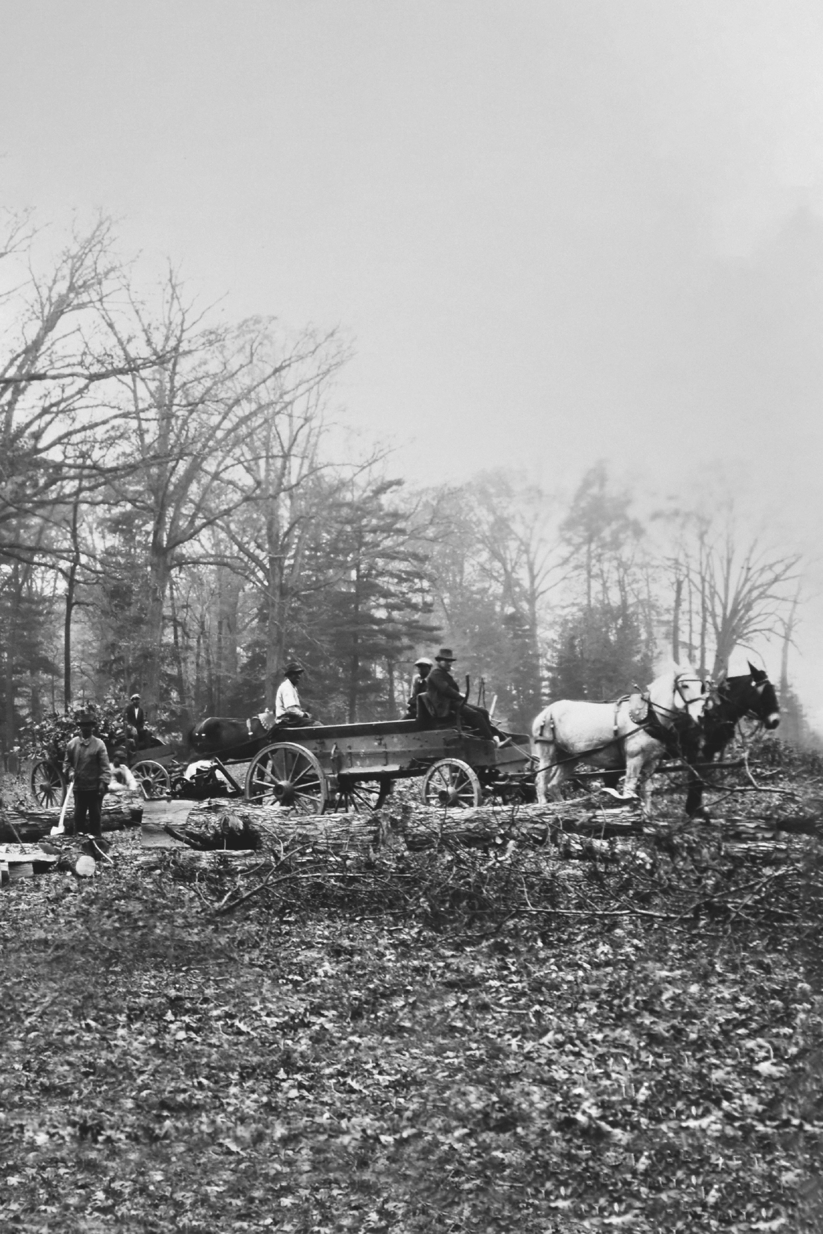 We learned early that to own the roof which gave us shelter was one of our - photo 4