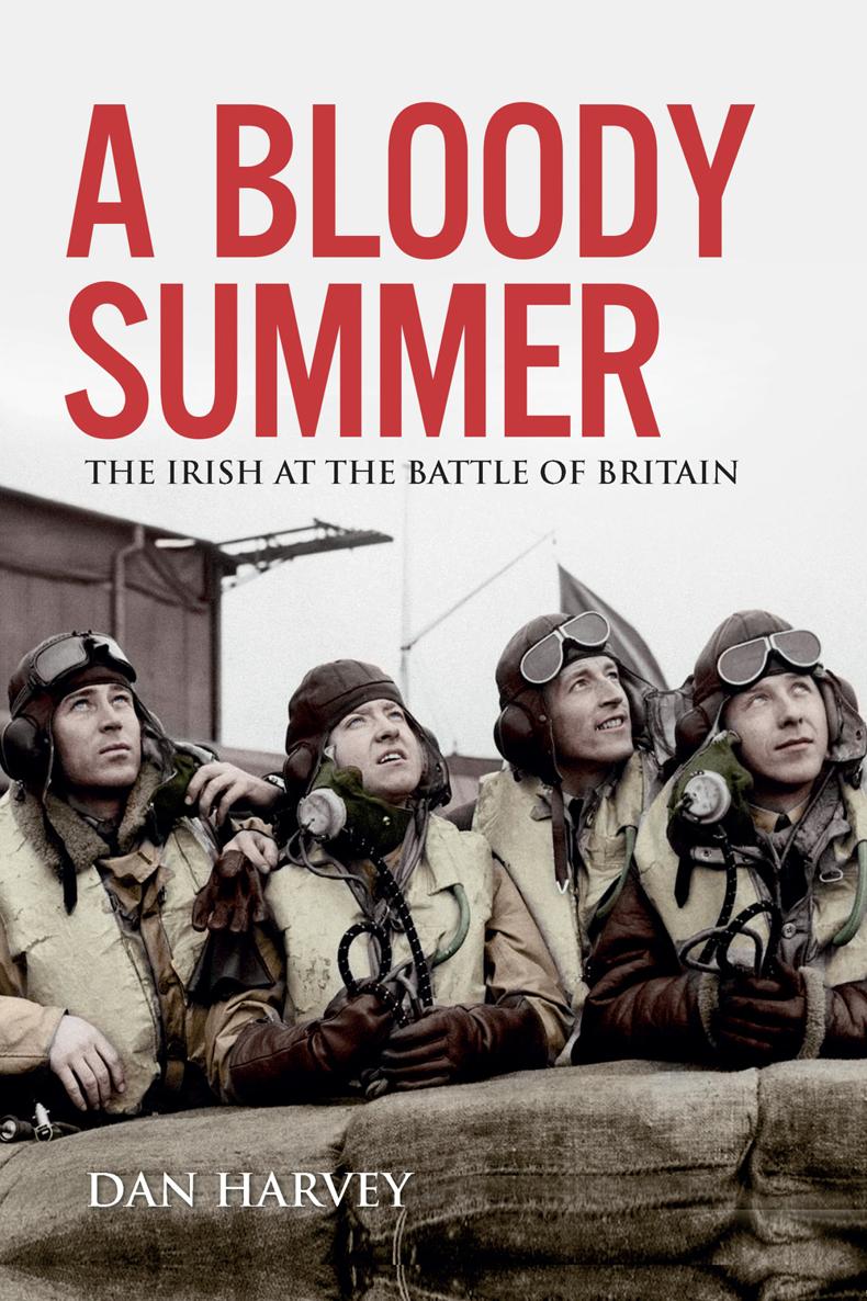 A Bloody Summer The Irish at the Battle of Britain - image 1