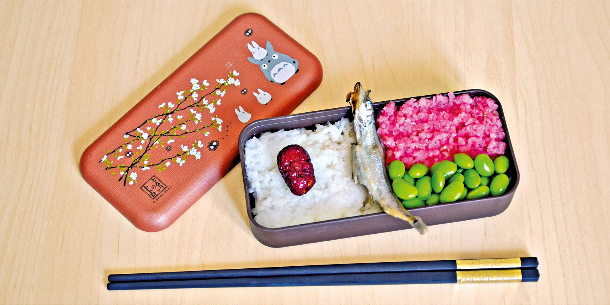 BACKGROUND A popular and easy-to-make lunch in Japan a bento is a packed meal - photo 5