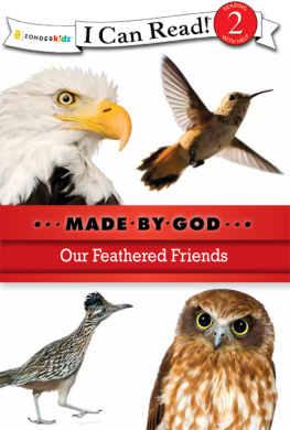 Zondervan - Our Feathered Friends: Level 2