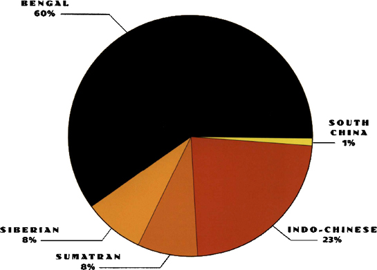 Another way to show how many tigers are left in the wild is to use a circle - photo 12