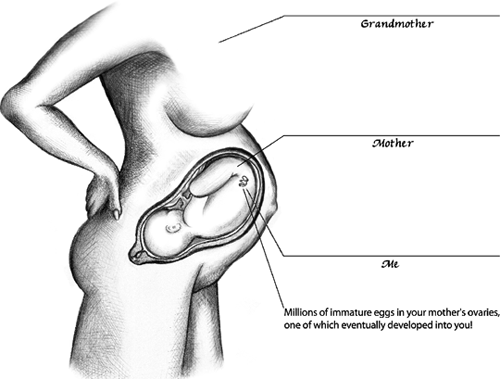 YOUR EXTERNAL REPRODUCTIVE ANATOMY If you have a brother close in age to you - photo 2