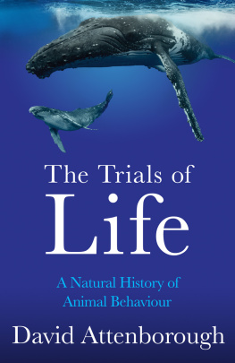 David Attenborough - The Trials of Life