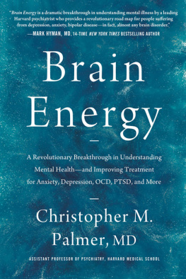 Christopher M. Palmer - Brain Energy