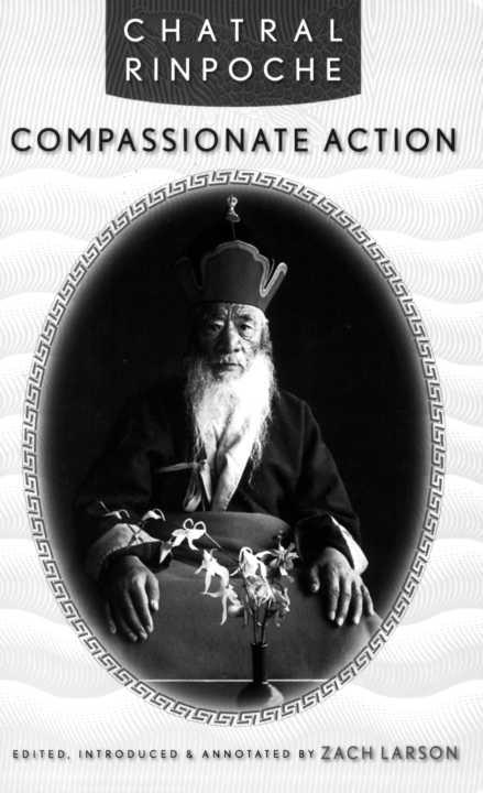 COMPASSIONATE ACTION COMPASSIONATE ACTION Chatral Rinpoche Edited - photo 1