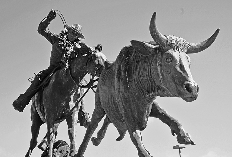 Ikua Purdy statue commissioned by the Paniolo Preservation Society and sculpted - photo 1