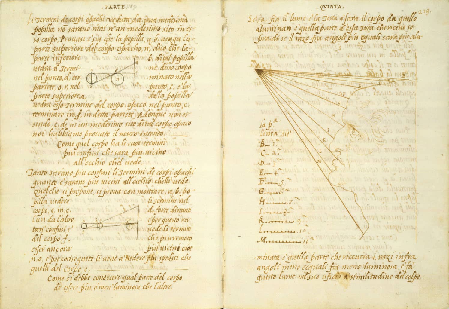 Leonardo recorded notes on his studies of light rays throughout his notebooks - photo 7