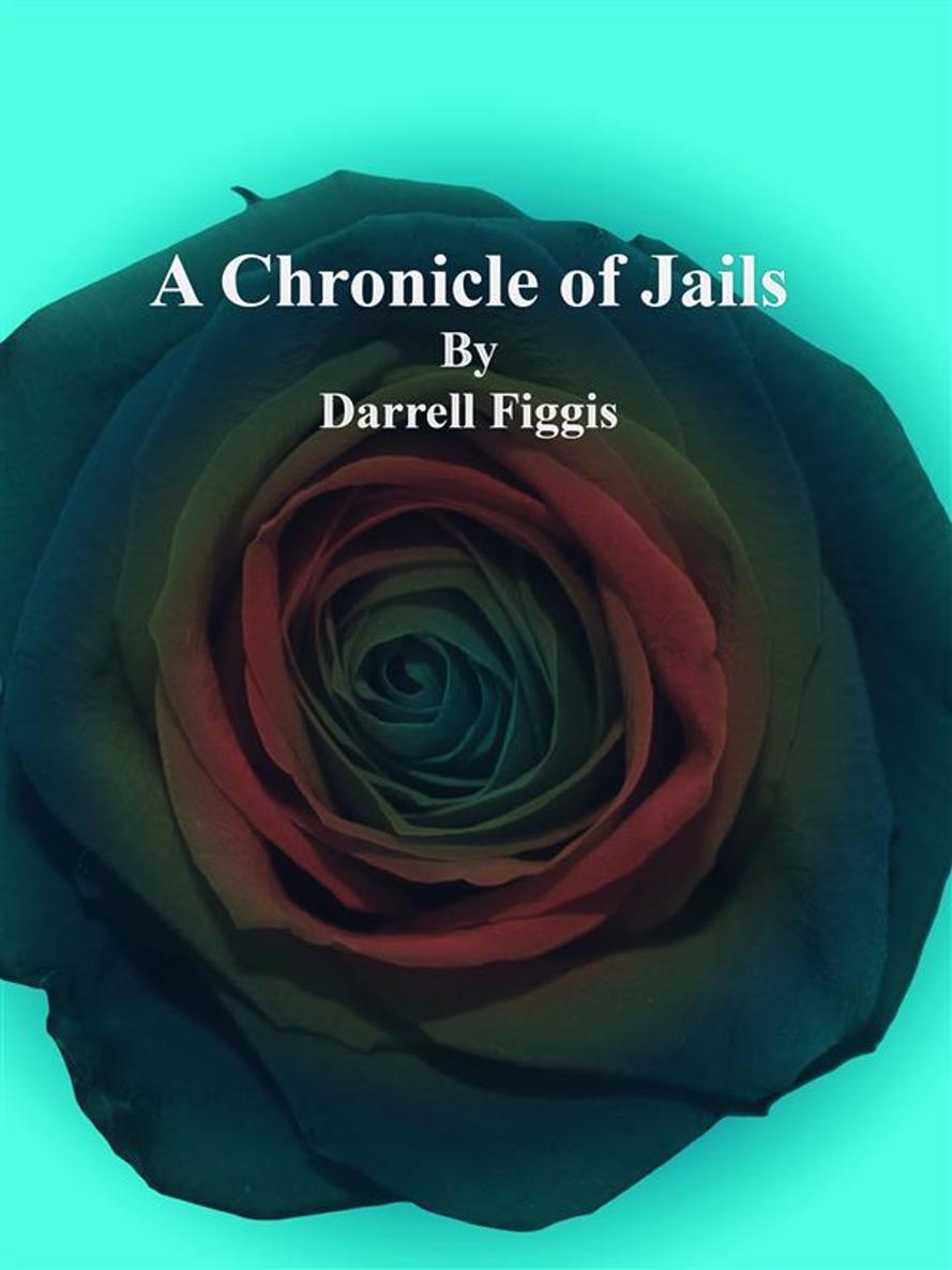 A CHRONICLE OF JAILS DARRELL FIGGIS Jail Journals are always a fascinating - photo 1