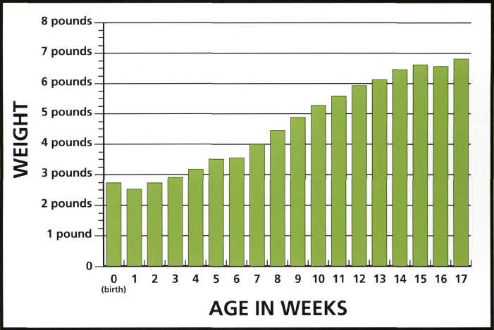 A graph is another way to show whats happened over a period of time This bar - photo 13