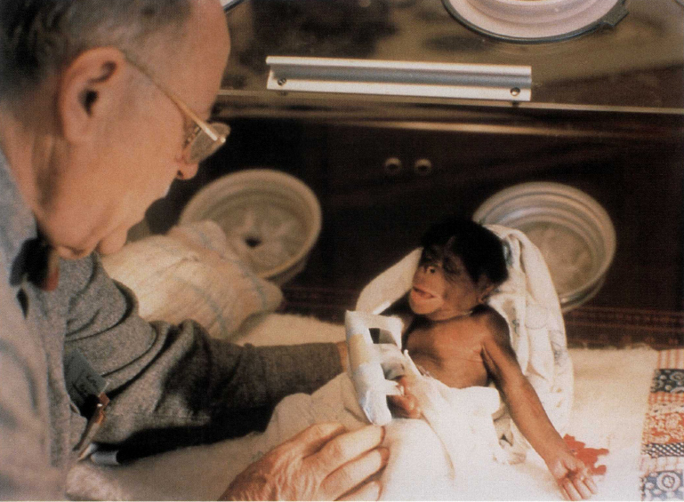 D R N ELSON A PEDIATRICIAN EXAMINES THE NEWBORN CHIMPANZEE L ate one - photo 10