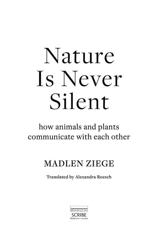 Nature Is Never Silent Madlen Ziege studied biology in Potsdam Berlin and - photo 1