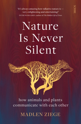 Madlen Ziege Nature Is Never Silent: How Animals and Plants Communicate with Each Other