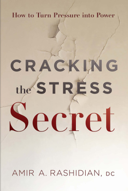 Amir A. Rashidian Cracking the Stress Secret: How to Turn Pressure into Power