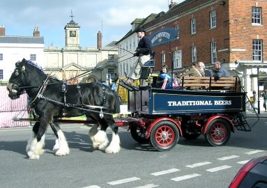 A working Shire horse When a horse gallops all four hooves are off the - photo 25