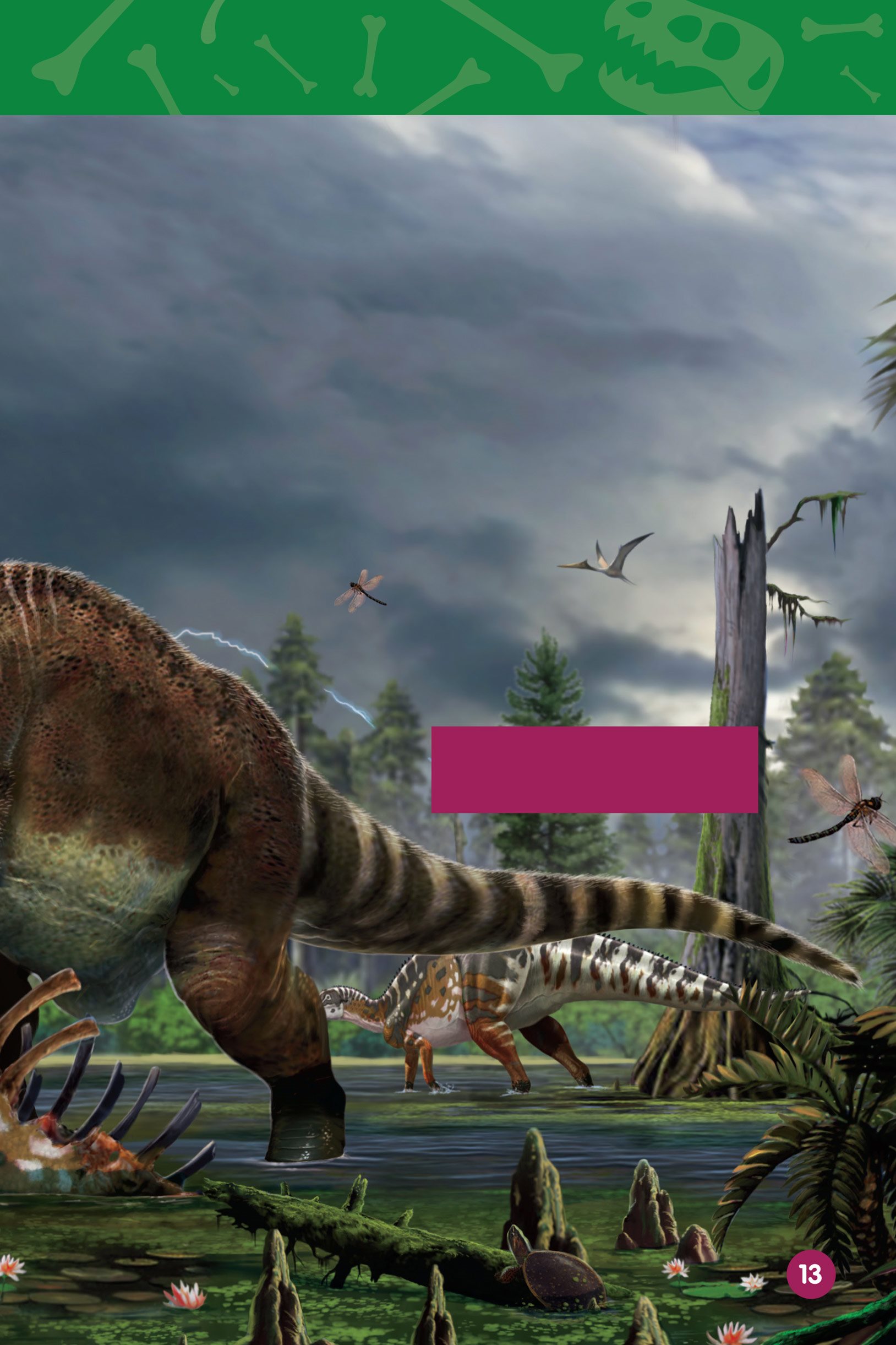 Scientists think T rex sometimes tossed the meat into the air Then it - photo 15