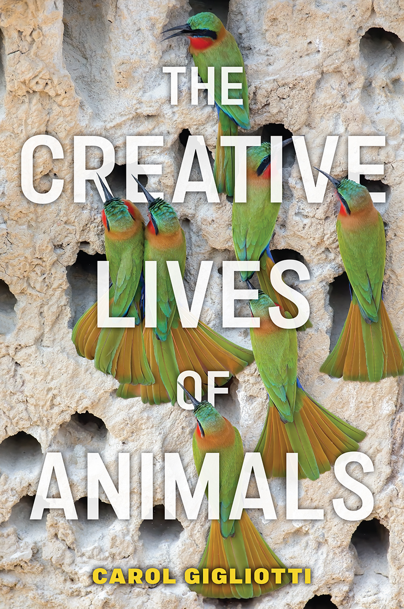 The Creative Lives of Animals Animals in Context General Editor Colin - photo 1