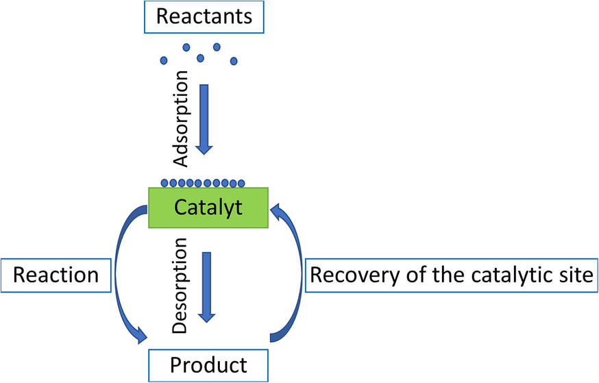 Elementary steps of the heterogeneous catalytic reaction This role of a - photo 1