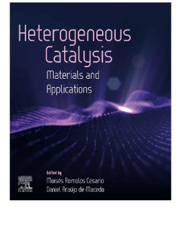 Moises Romolos Cesario - Heterogeneous Catalysis: Materials and Applications