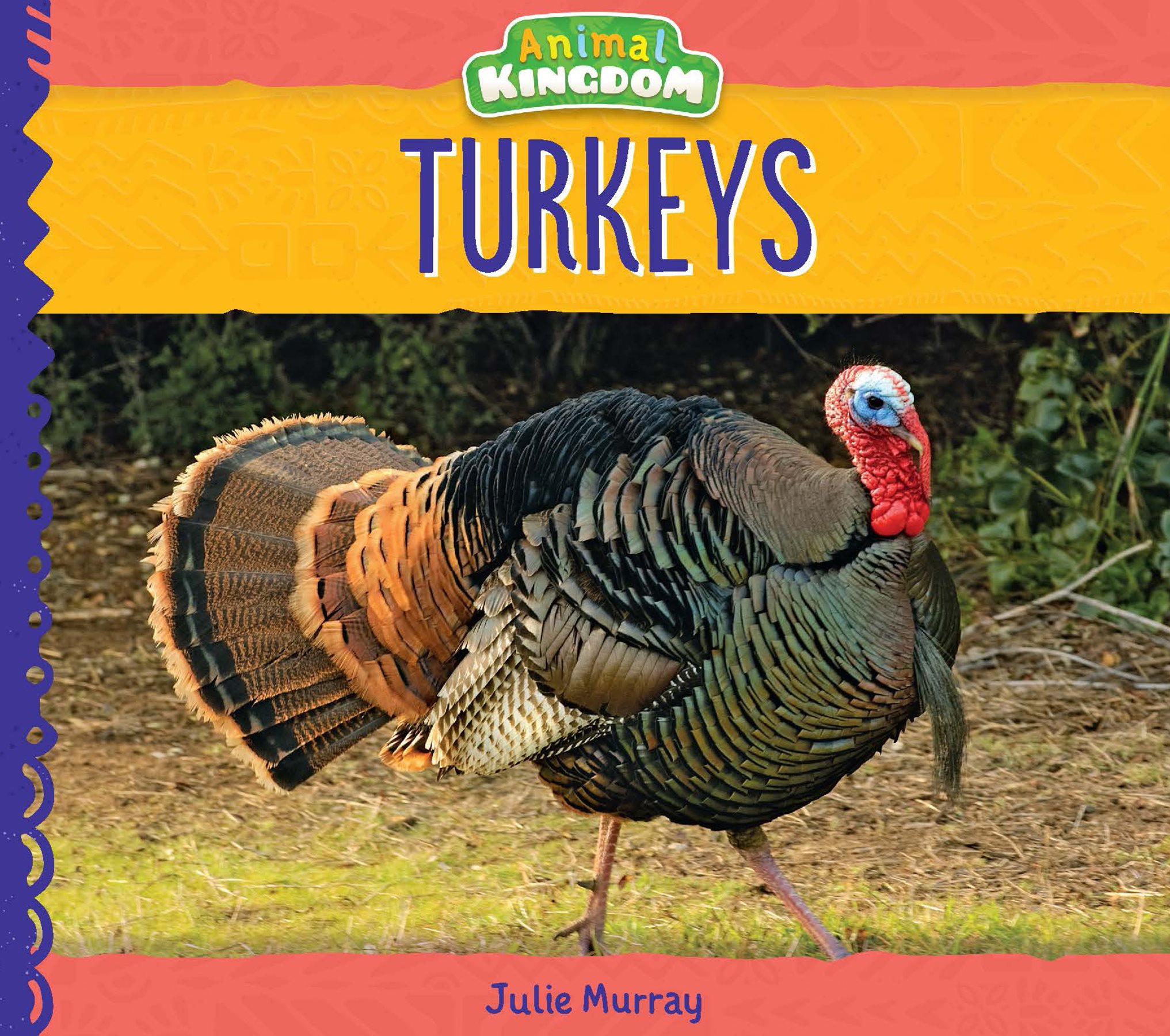 Turkeys Julie Murray Big Buddy Books An Imprint of Abdo Publishing abdobookscom - photo 1