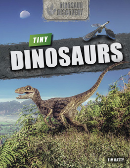 Tim Batty - Tiny Dinosaurs