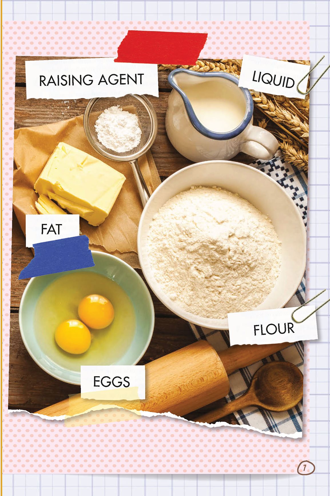 RAISING AGENT LIQUID FLOUR EGGS FAT These ingredients are mixed to make a - photo 13