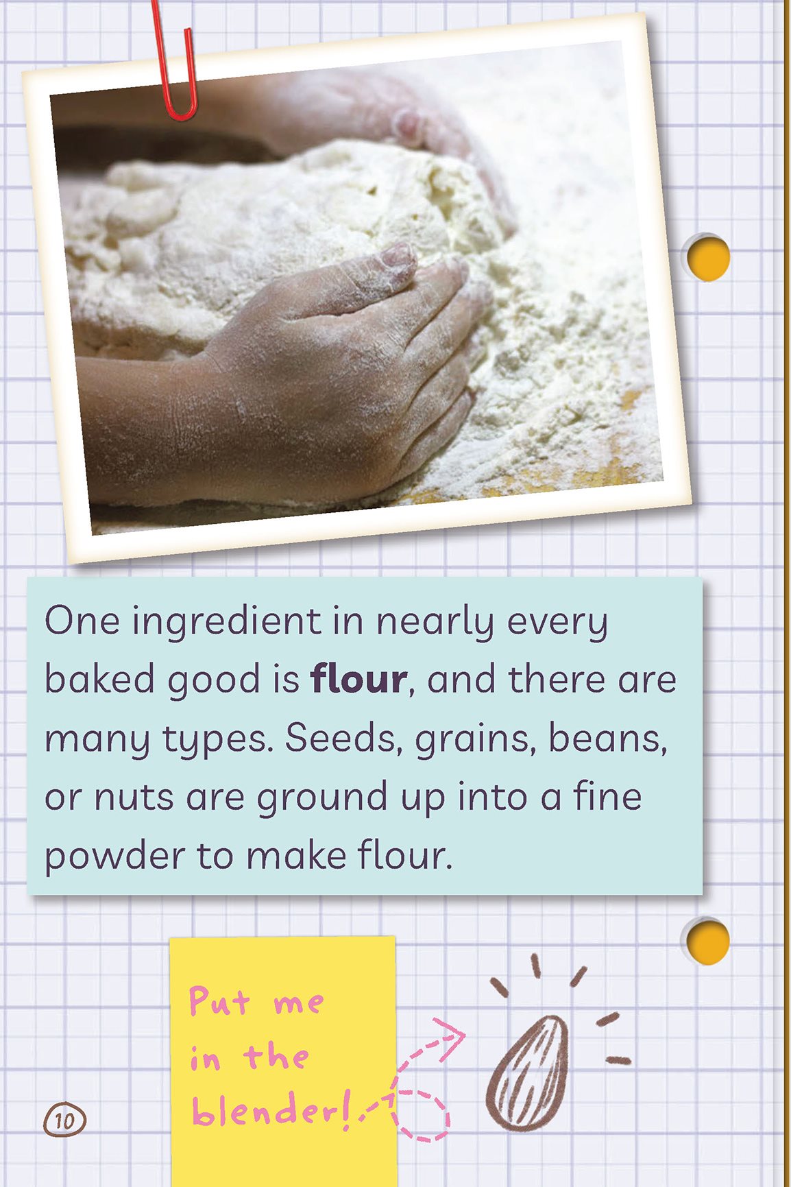 One ingredient in nearly every baked good is flour and there are many types - photo 16