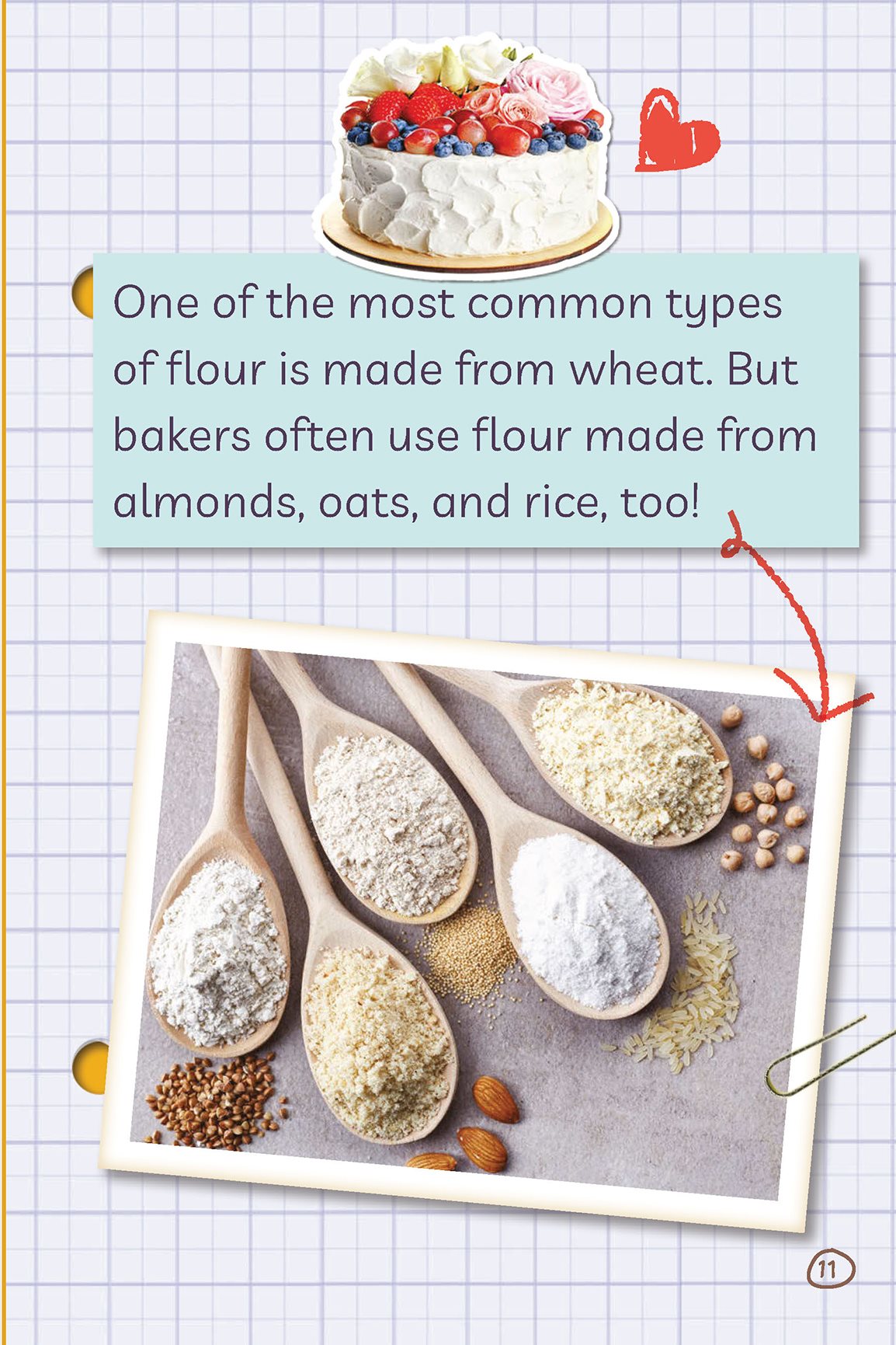 One of the most common types oF flour is made From wheat But bakers oFten use - photo 17