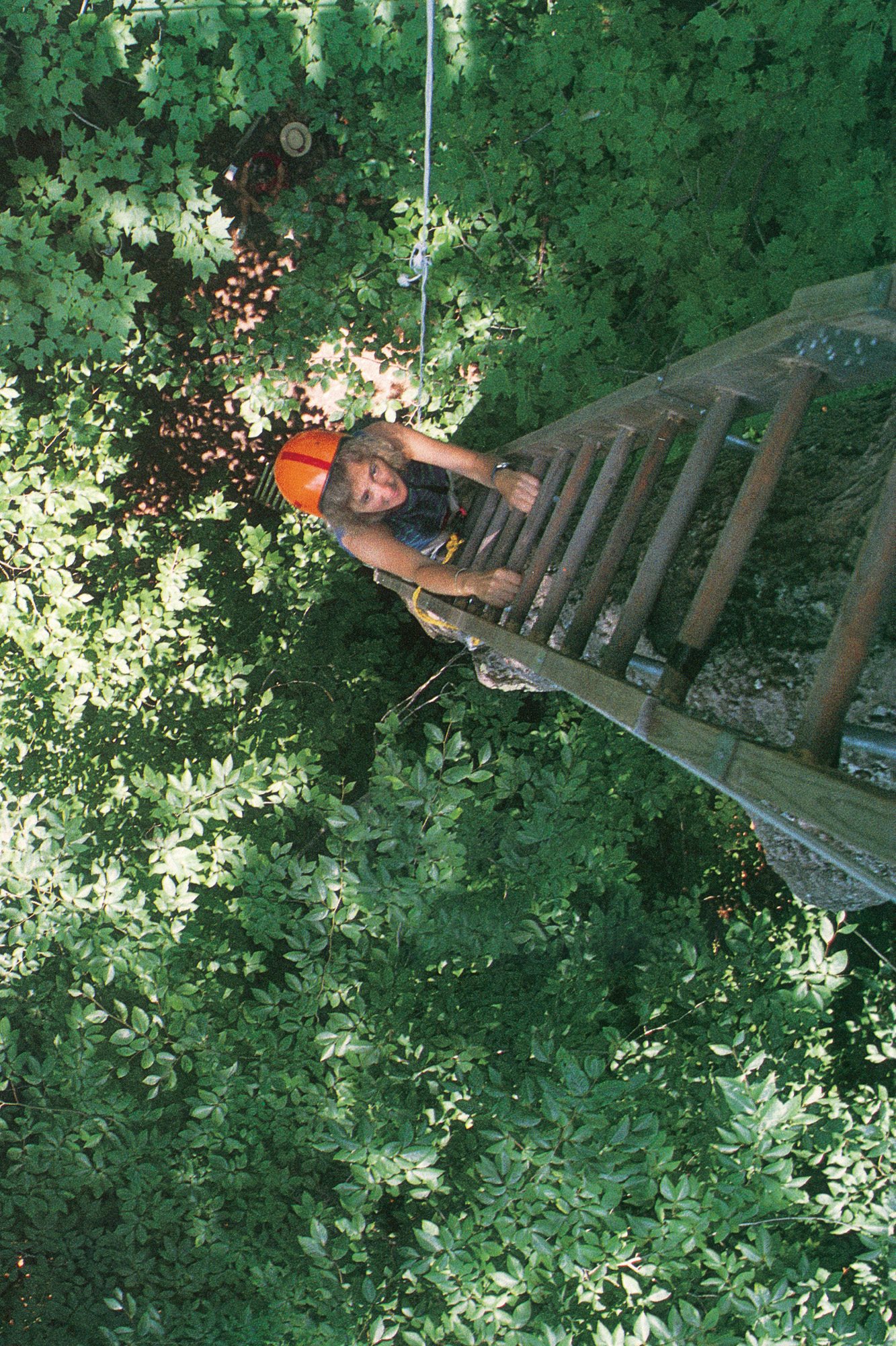 M EG L OWMAN climbs trees She has climbed trees since she was a little girl in - photo 2