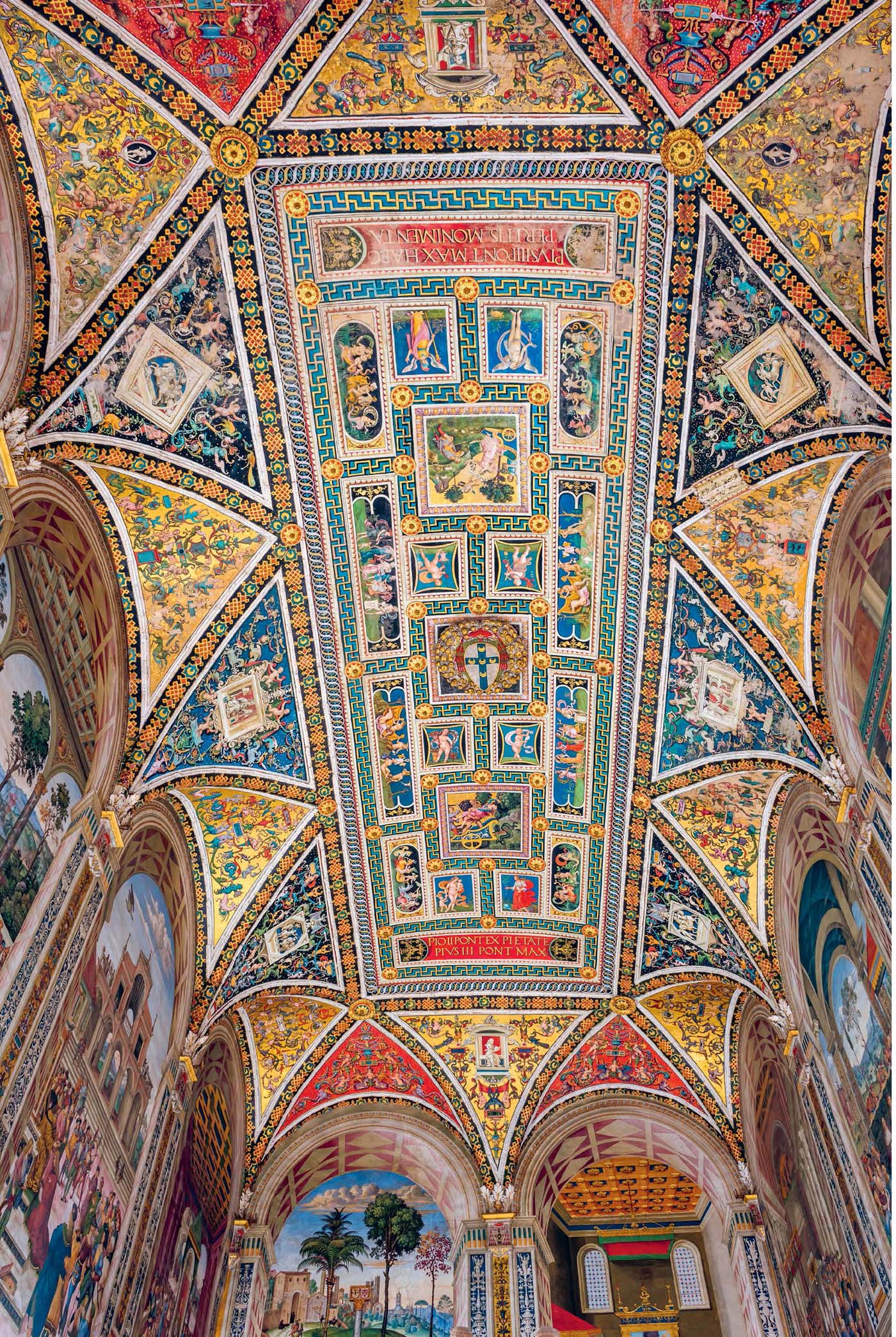 The ceiling of the Piccolomini Library in the Duomo Steve Speller Alamy - photo 5