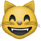 How to Speak Emoji - image 26