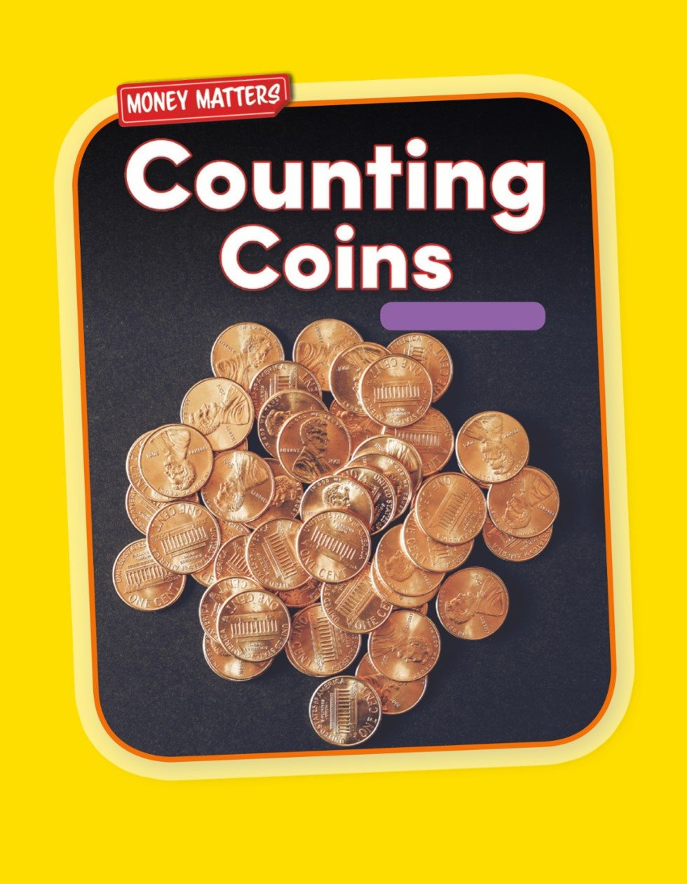 MONEY MATTERS Counting Coins Financial Literacy - photo 1