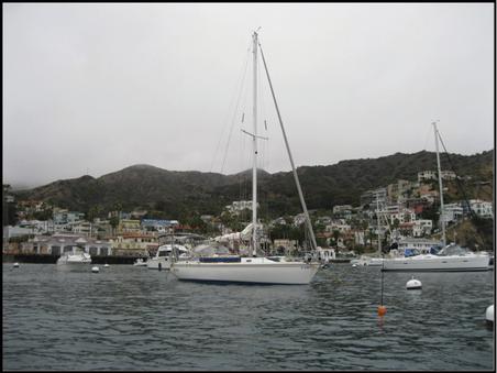 Salt Peter with Overcast Chapter II Farewell Avalon The South End of - photo 6