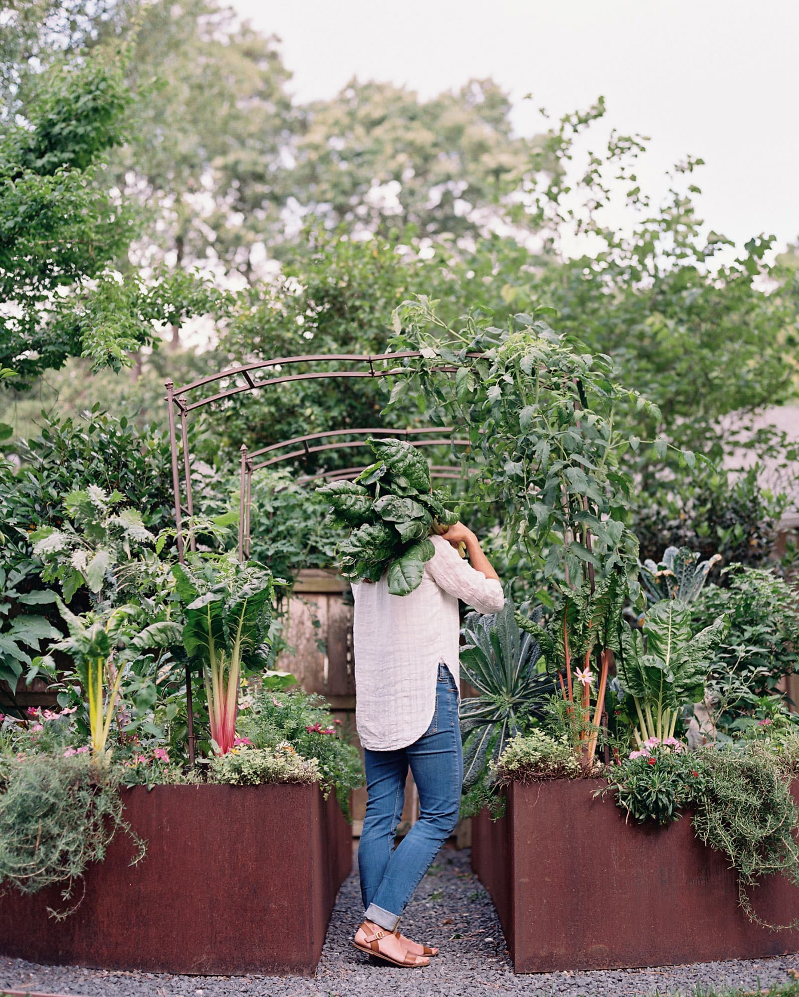 KITCHEN GARDEN REVIVAL A Modern Guide to Creating a Stylish Small-Scale - photo 2