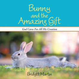 Bridgitt Martin Bunny and the Amazing Gift: God Cares for All His Creation