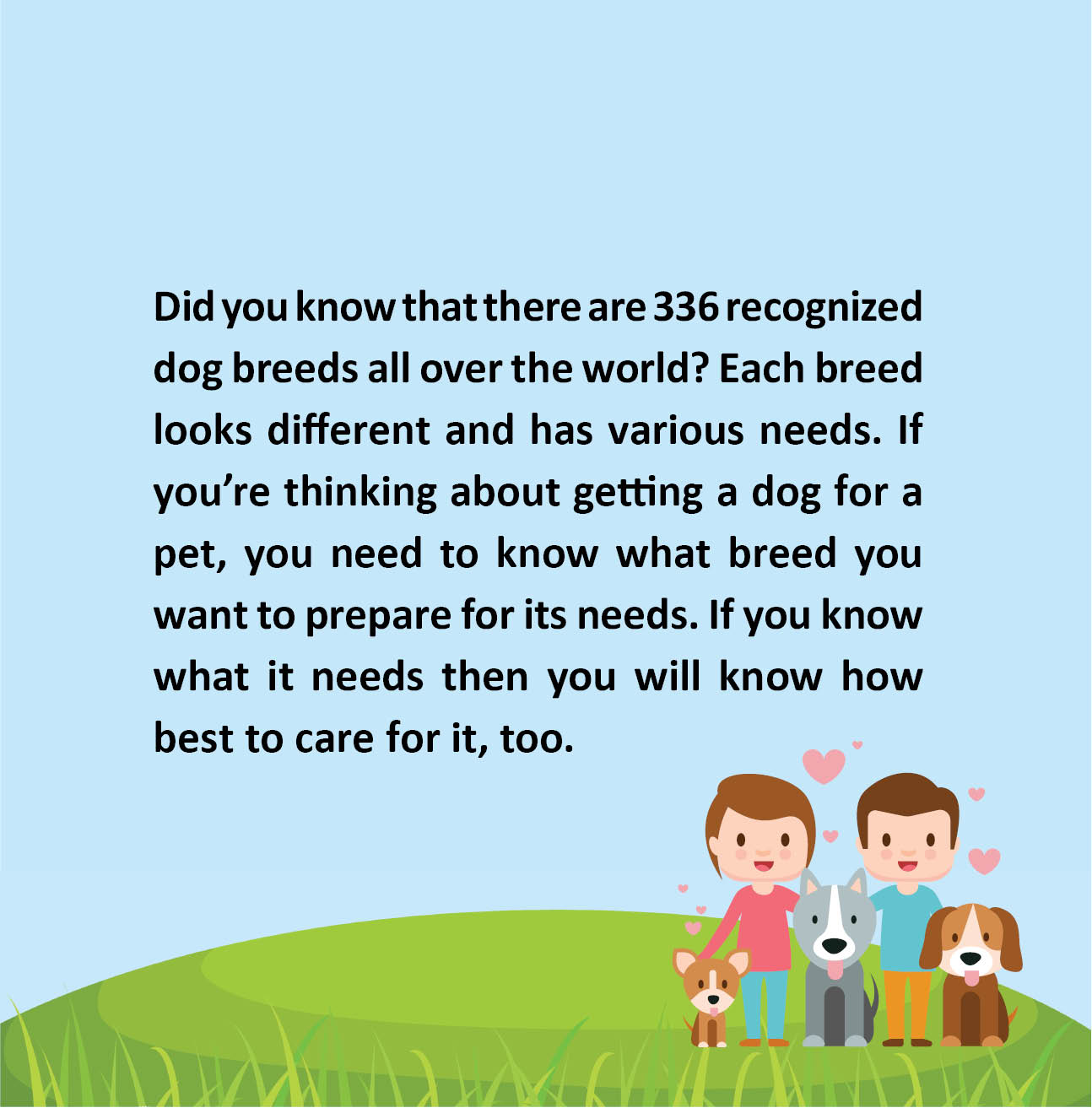 Dog Breeds and How to Care for Them - photo 3
