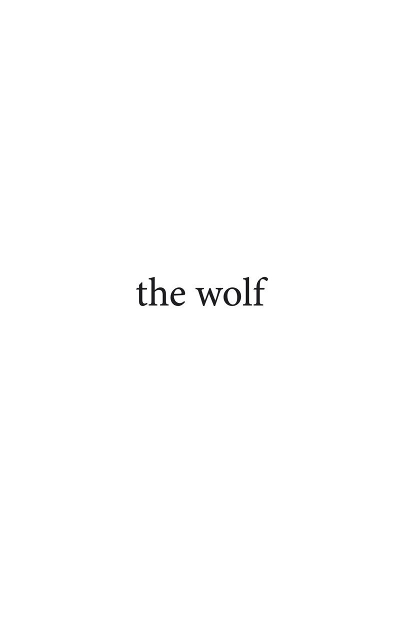 the wolf copyright 2020 by Kamilla Sonne Toln All rights reserved No part of - photo 2