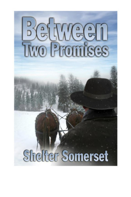 Shelter Somerset Between Two Promises