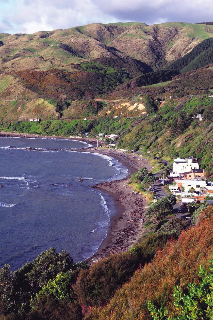 Stev en Spi elberg behi nd the camera o n some big b loc kbuster lm Pukerua Ba - photo 4