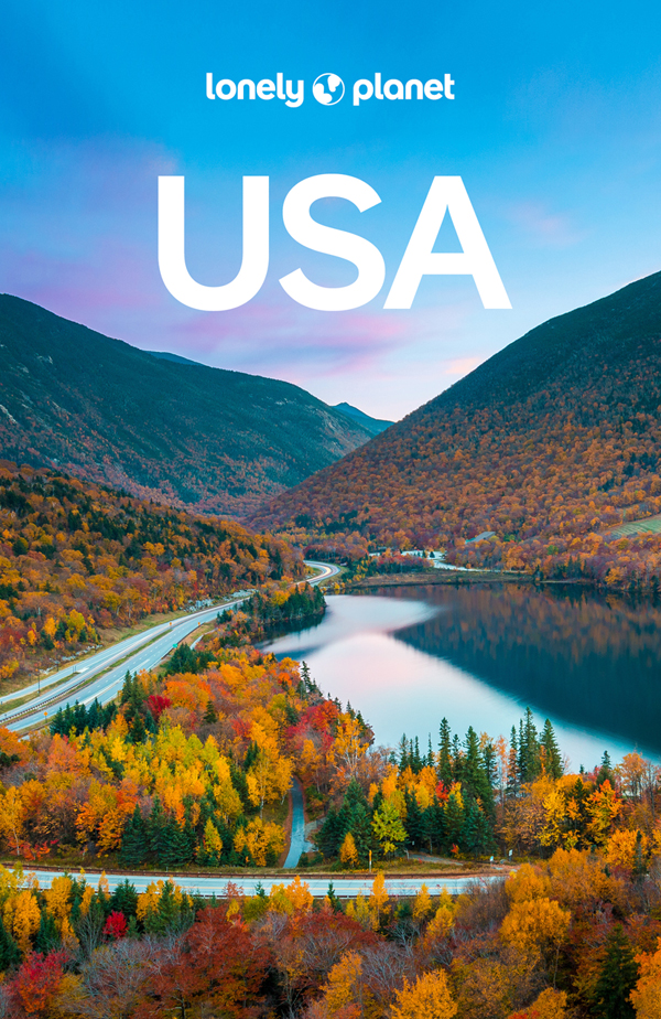 Lonely Planet USA 12 Travel Guide - image 1